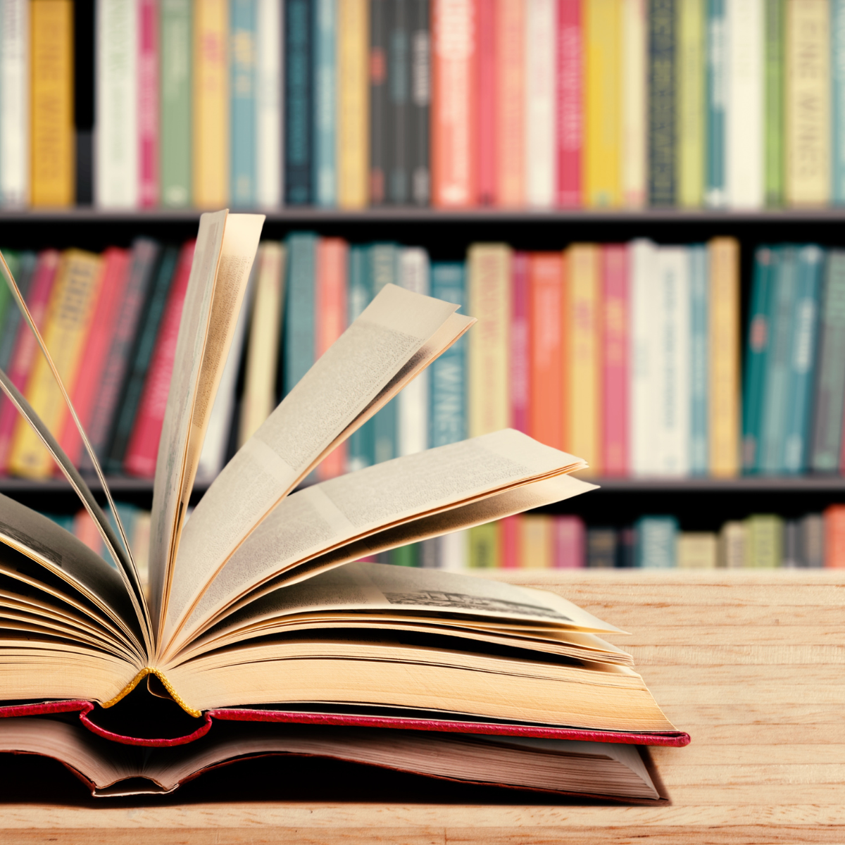 The best books of 2024 – as voted by you