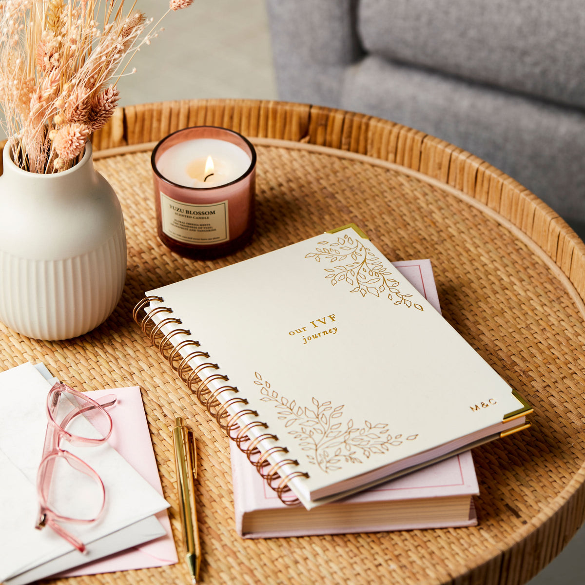 Martha Brook Why I wanted to create the IVF Journal blog with a picture of the IVF Journal on a coffee table with glasses and a pen in front of a sofa