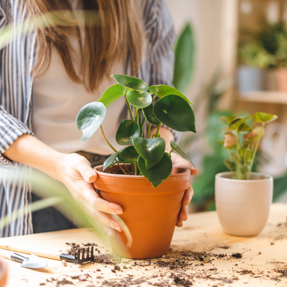 Martha Brook P.S. On The Blog 6 Fantastic Ways To Connect With Nature Mental Health Awareness Week