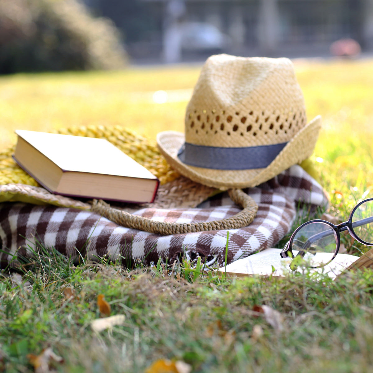 martha brook blog post 13 brilliant books about friendship square