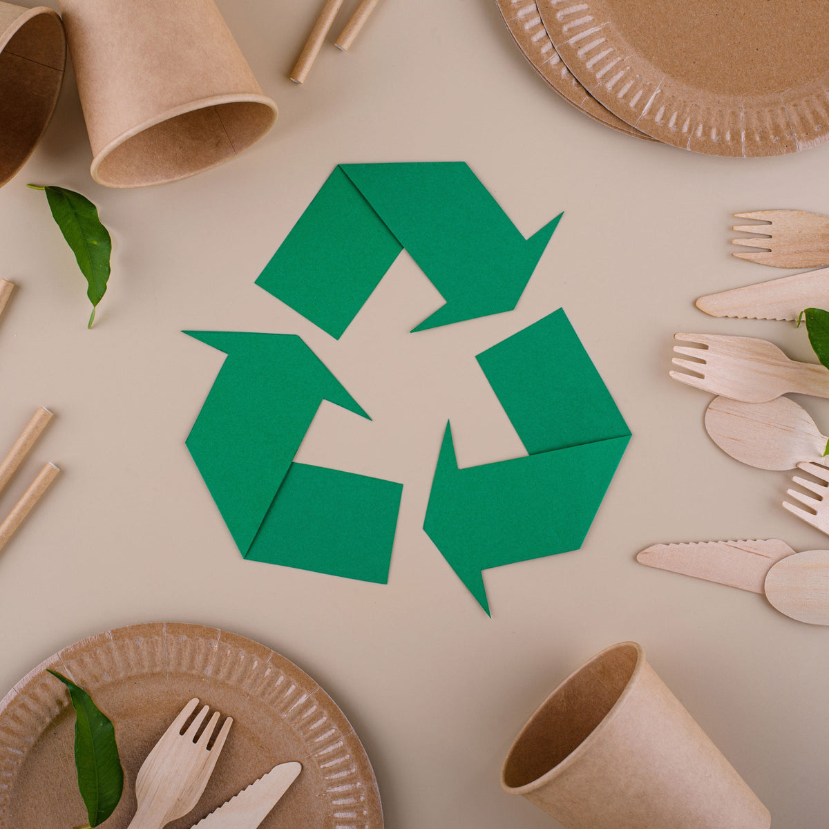 martha brook blog post 6 ways to live more sustainably