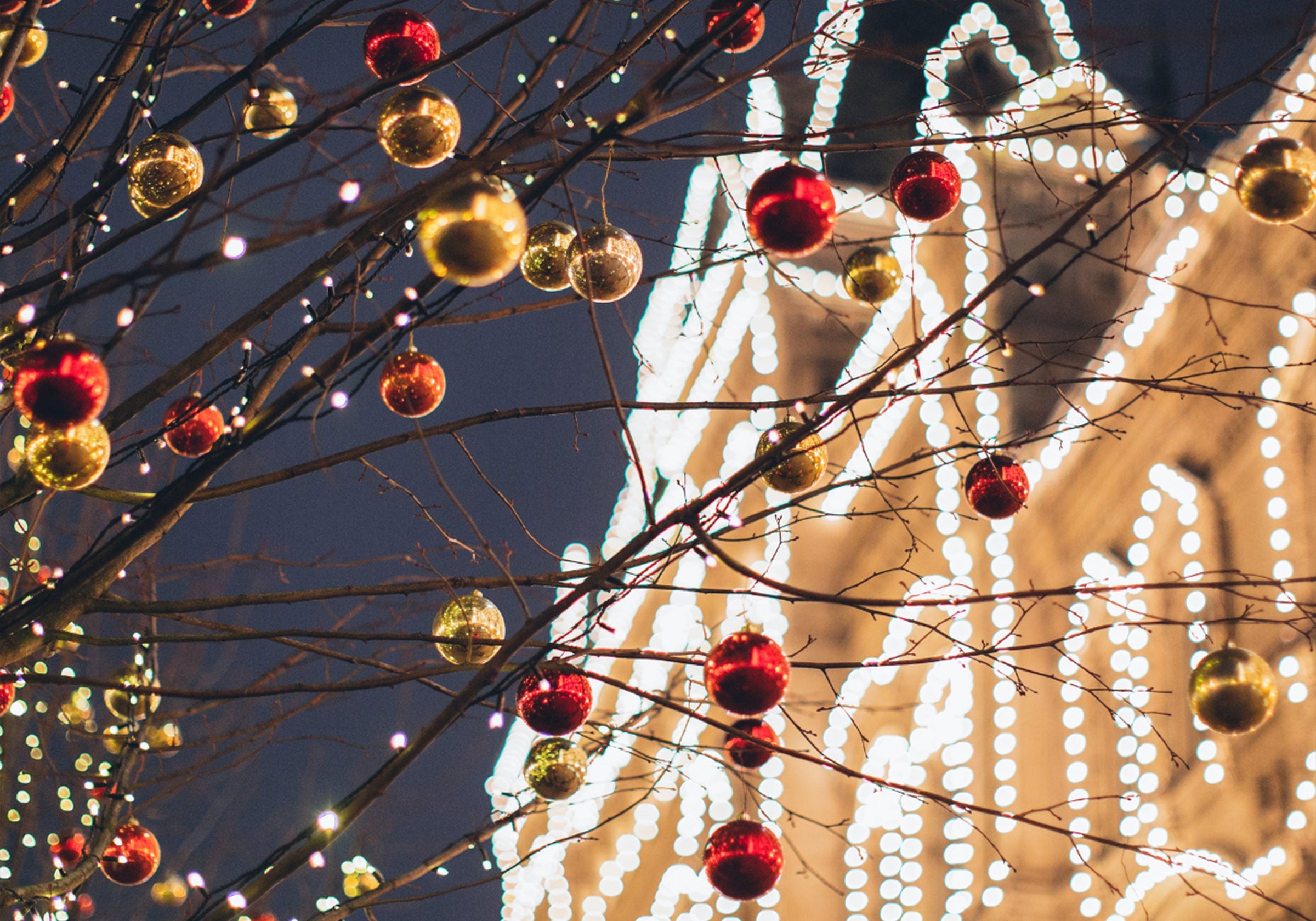 martha brook blog post UK's best Christmas lights to see in 2024