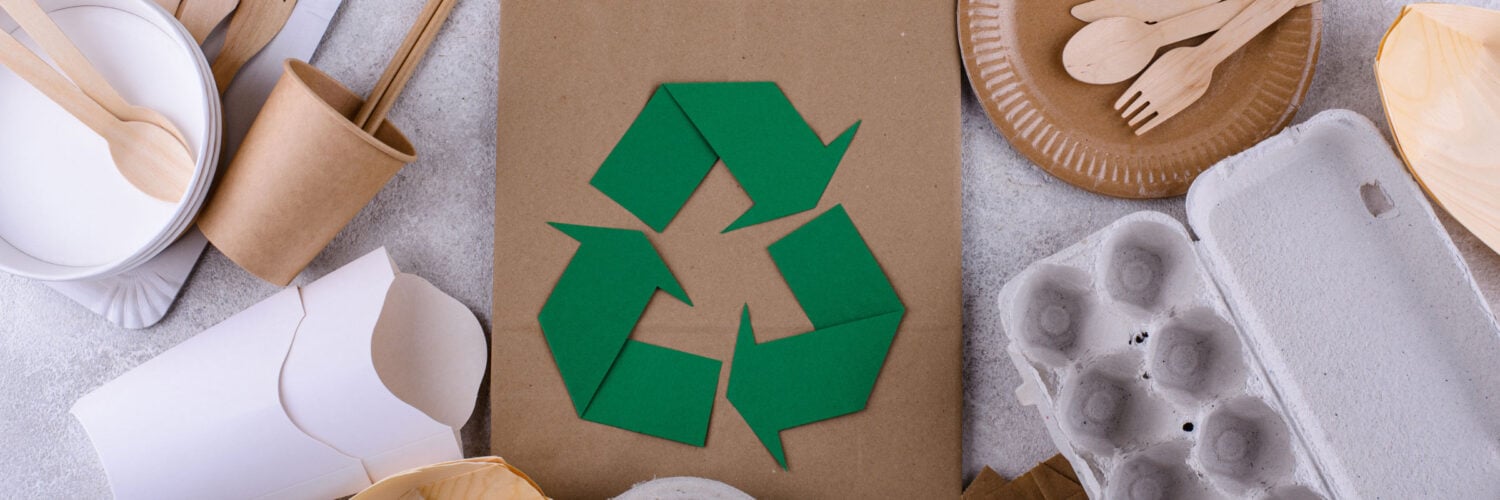 martha brook blog post 6 ways to live more sustainably