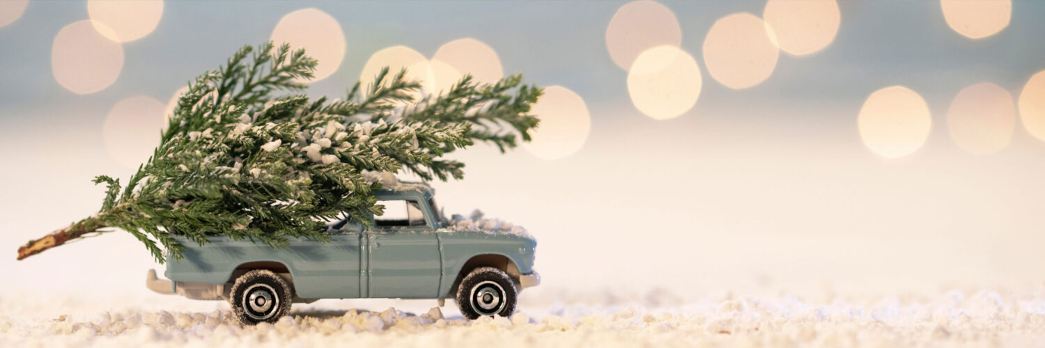 martha brook blog post easy ways to reduce waste this Christmas