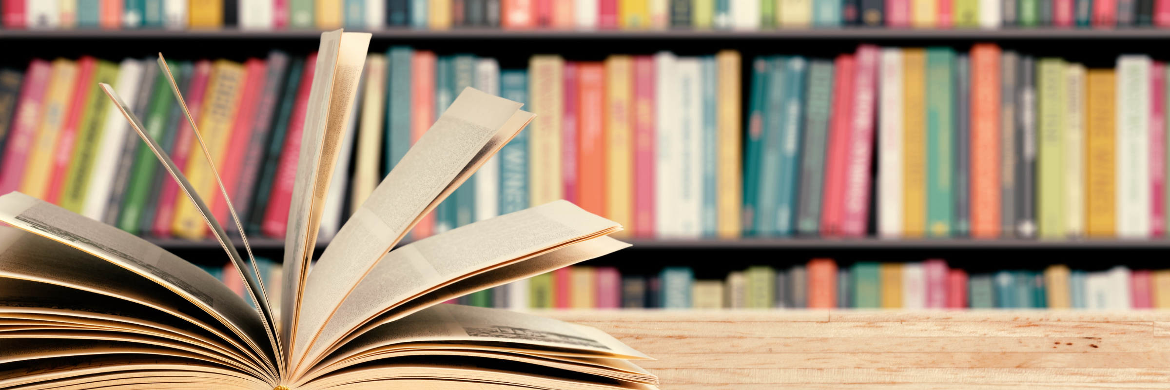 Martha Brook The Best Books of 2024 As Voted for by you