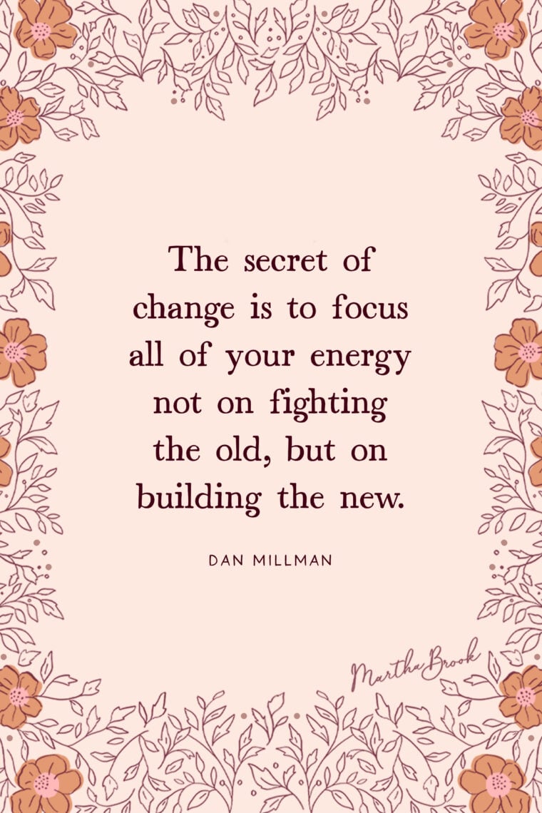 martha brook blog post 13 of the best motivational quotes The secret of change is to focus all of your energy; not on fighting the old, but on building the new - Dan Millman