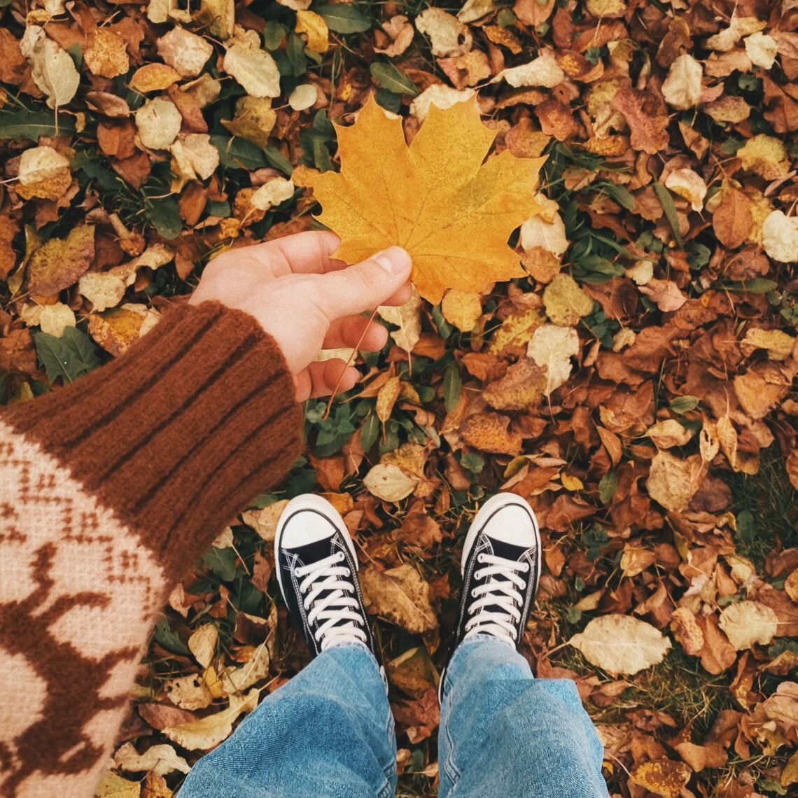 martha brook blog post 9 self-care tips for autumn let yourself reset